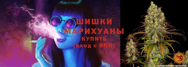 гидра Верея