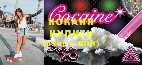 шишки Горняк