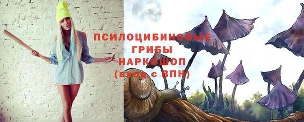 соль курить ск Верхний Тагил
