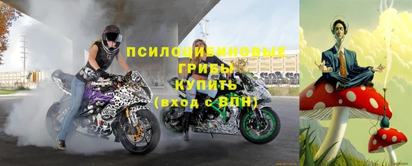 гидра Верея