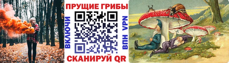 ссылка на мегу как зайти  наркошоп  Высоцк  Галлюциногенные грибы прущие грибы 